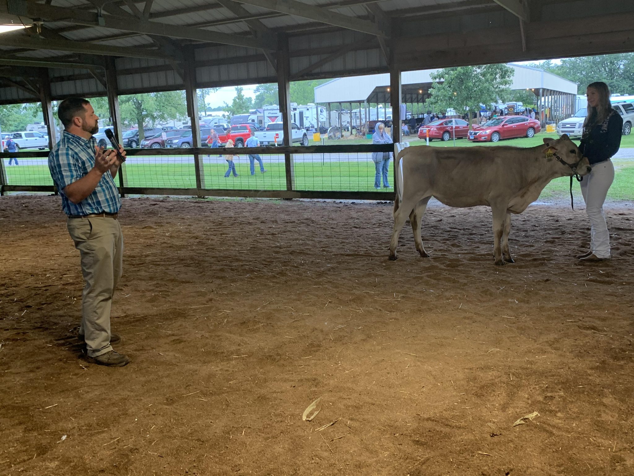 Livestock shows return to Marion County Fair following a year’s absence